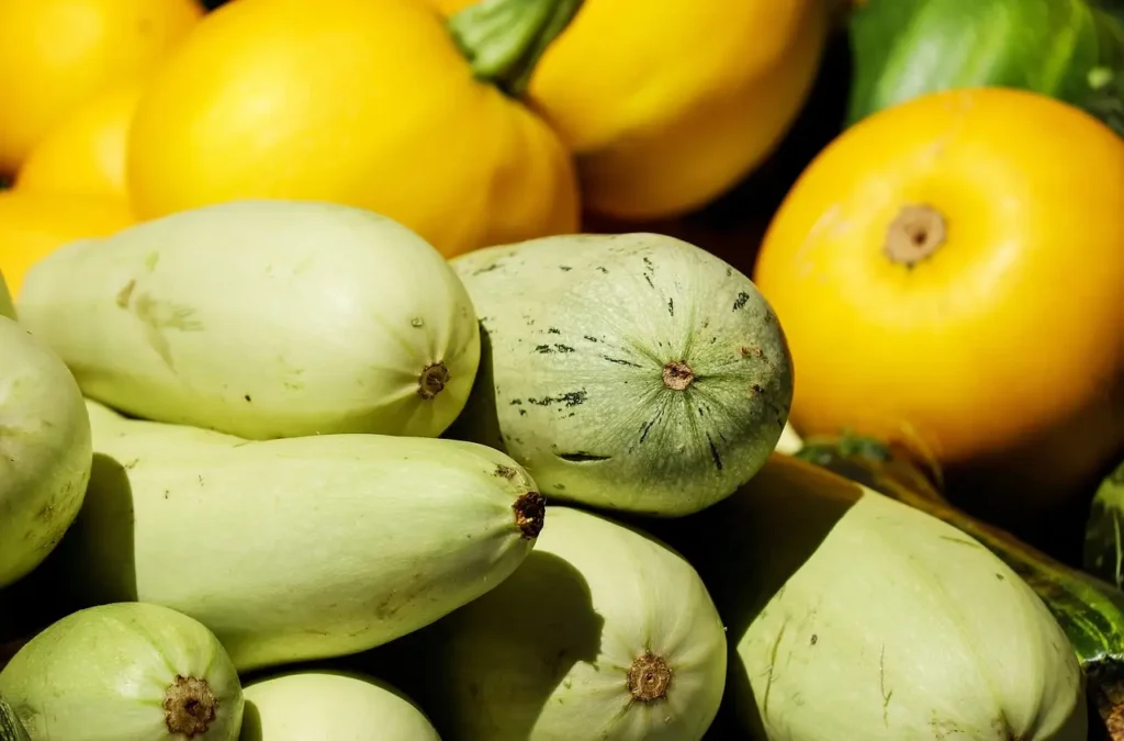 Los calabacines pueden ser verdes o amarillos