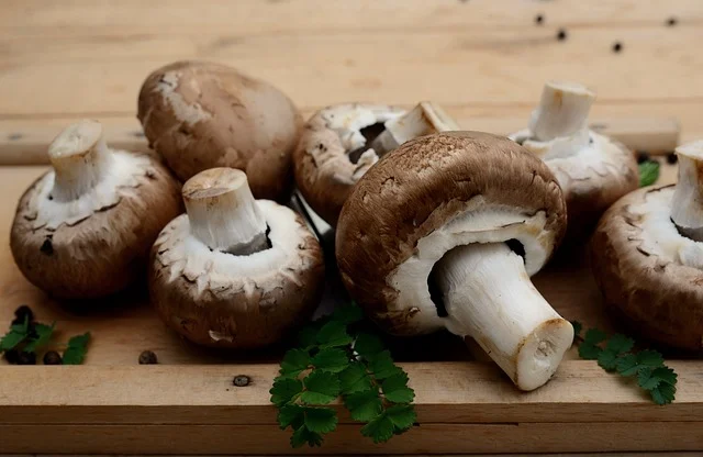 Los champiñones son setas muy apreciadas en la cocina