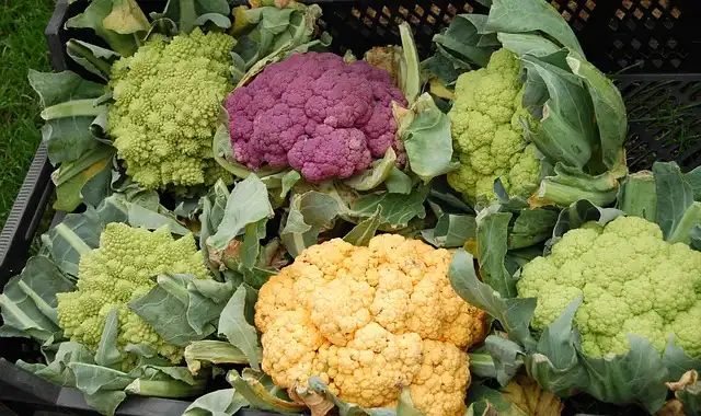 Las coliflores pueden venir de distintos colores y tamaños